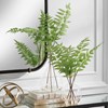 COUNTRY FERNS, S/2