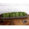 HEATH PRESERVED MOSS TRAY