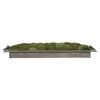 HEATH PRESERVED MOSS TRAY