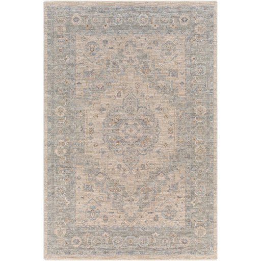 AVT-2302 | Surya Rugs - Astonishing Home Collection